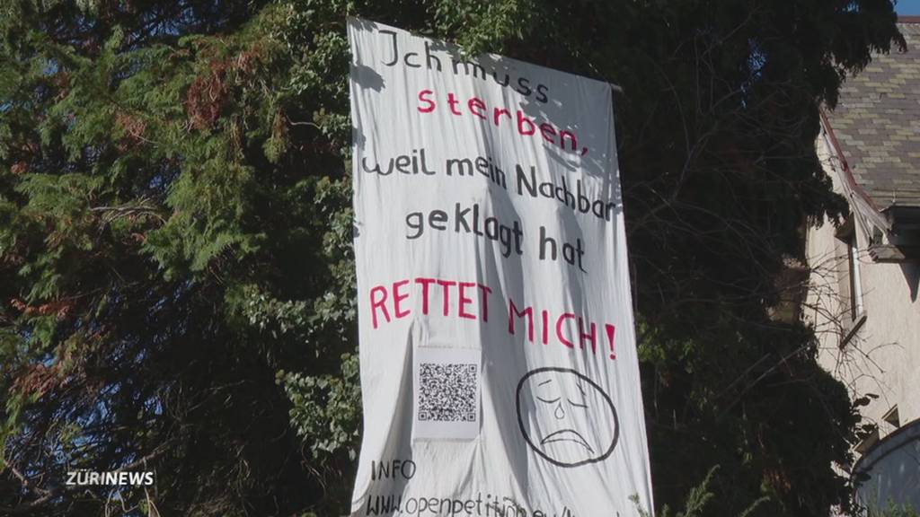 Nachbarschaftsstreit um einen Baum