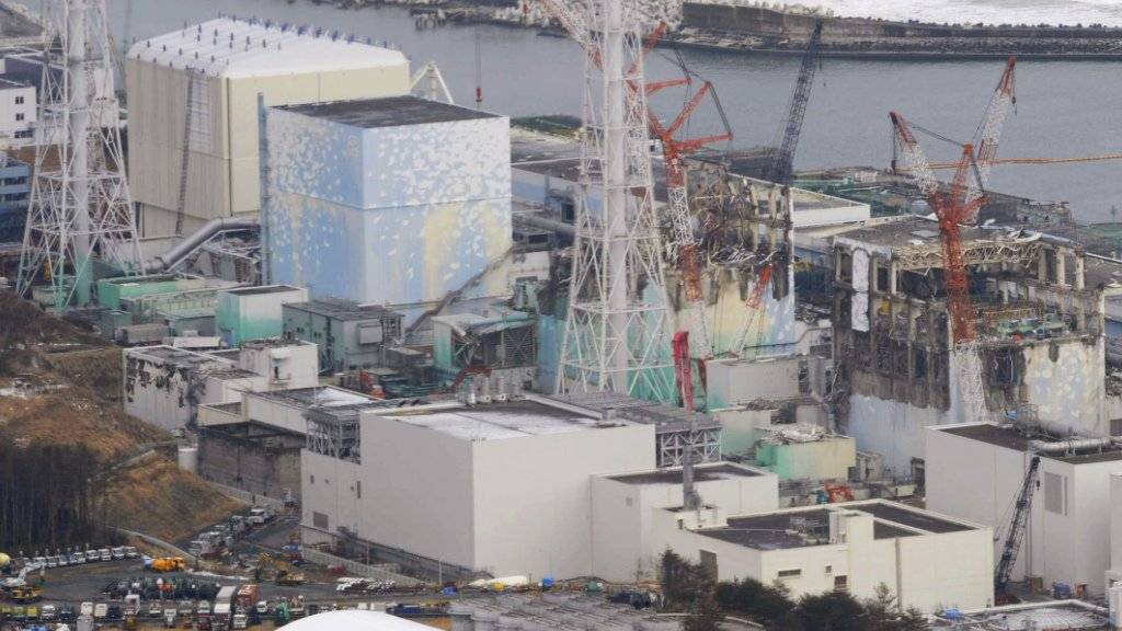 Am 11. März 2011 war es in Folge eines schweren Erdbebens und Tsunamis im japanischen Atomkraftwerk Fukushima Daiichi zu Kernschmelzen gekommen. (Archivbild)