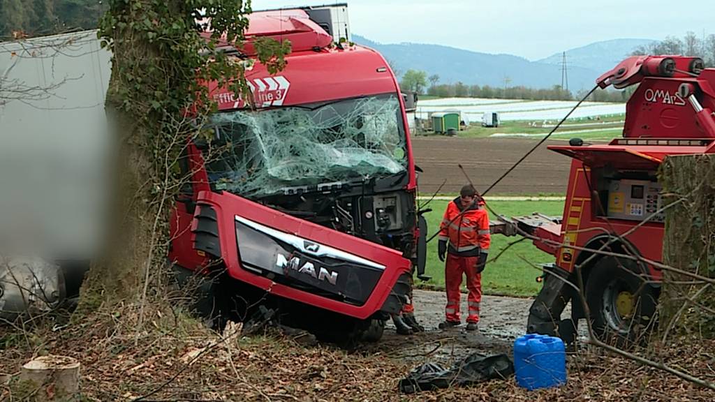 Solothurn: LKW kracht frontal in Baumgruppe – Fahrer leicht verletzt
