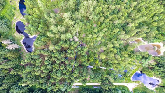 Kanton Luzern schafft Waldreservat in Neudorf