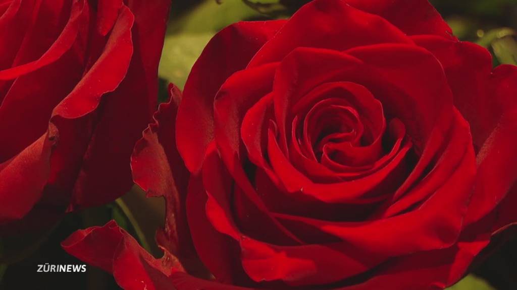 Woher stammt der Valentinstag?