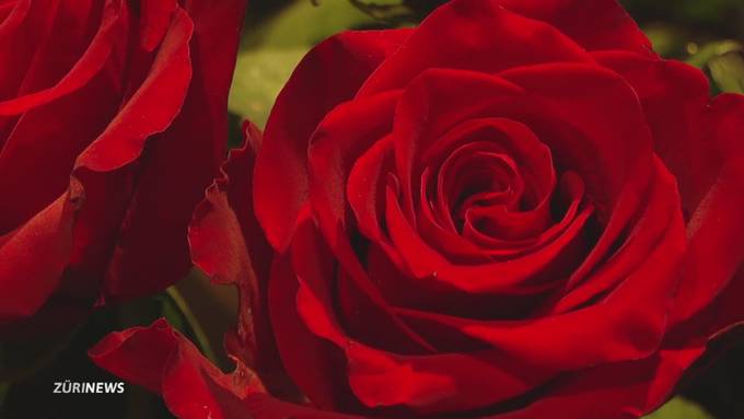 Woher stammt der Valentinstag?