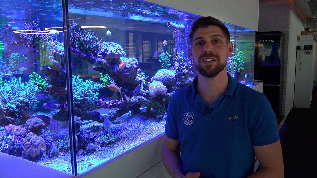 Der Aquariumbauer und seine Korallen