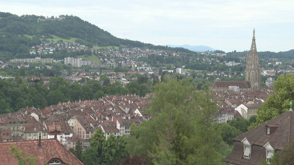 Die FDP sagt der Wohnungsnot den Kampf an