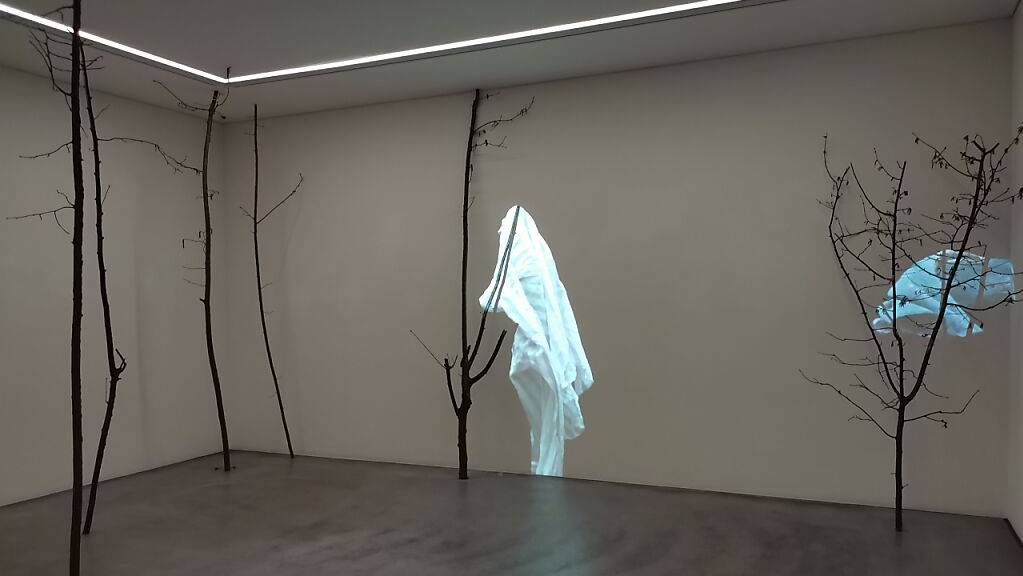 In diesen Raum mit kargen Baumstämmen projizierte Ursula Palla «störende» umherfliegende Kleidungsstücke hinein. Das Werk soll veranschaulichen, wie wir Menschen es uns anmassen, in die Natur einzugreifen.