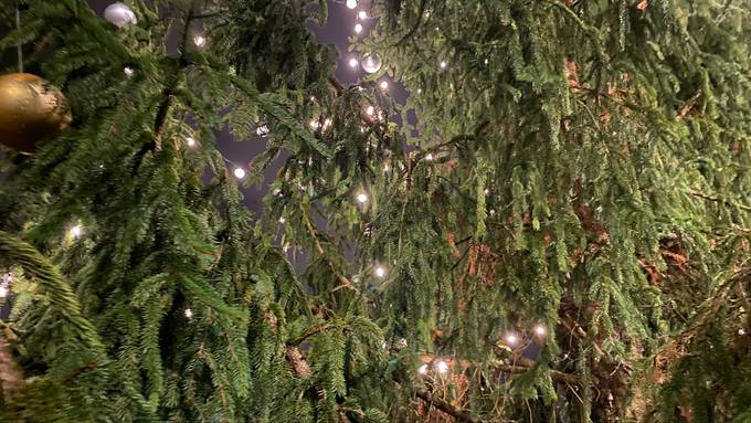 Auf dem Rigiplatz strahlt der Weihnachtsbaum mit Solarlampen