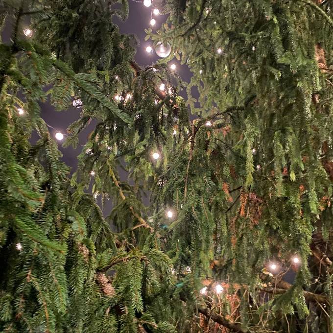Auf dem Rigiplatz strahlt der Weihnachtsbaum mit Solarlampen