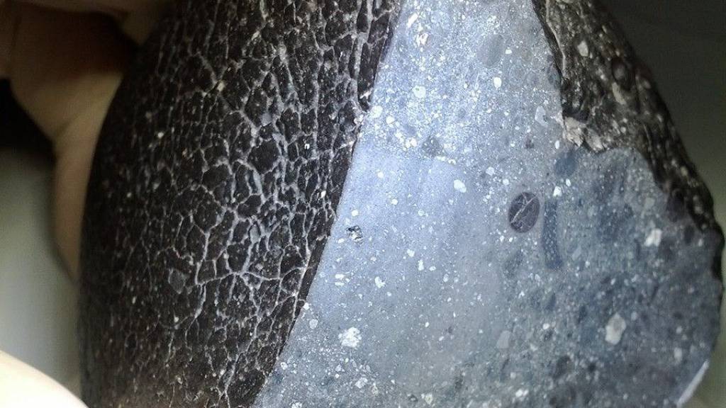 Der von den Wissenschaftlern analysierte Marsmeteorit.