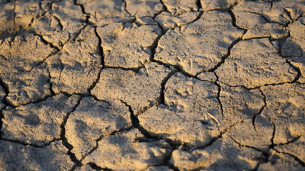 ARCHIV - Risse im sind im Erdreich eines Flussbettes zu sehen. Das Austrocknen von Flüssen und Wasserreservoiren als Folge des Klimawandels gefährdet die Trinkwasserversorgung in den dicht besiedelten und hoch industrialisierten Gebieten Italiens und bedroht die Bewässerung in dem am intensivsten bewirtschafteten Teil des Landes. Foto: Luca Bruno/AP/dpa