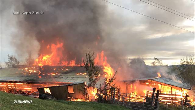 100’000 Franken Schaden durch Scheunenbrand