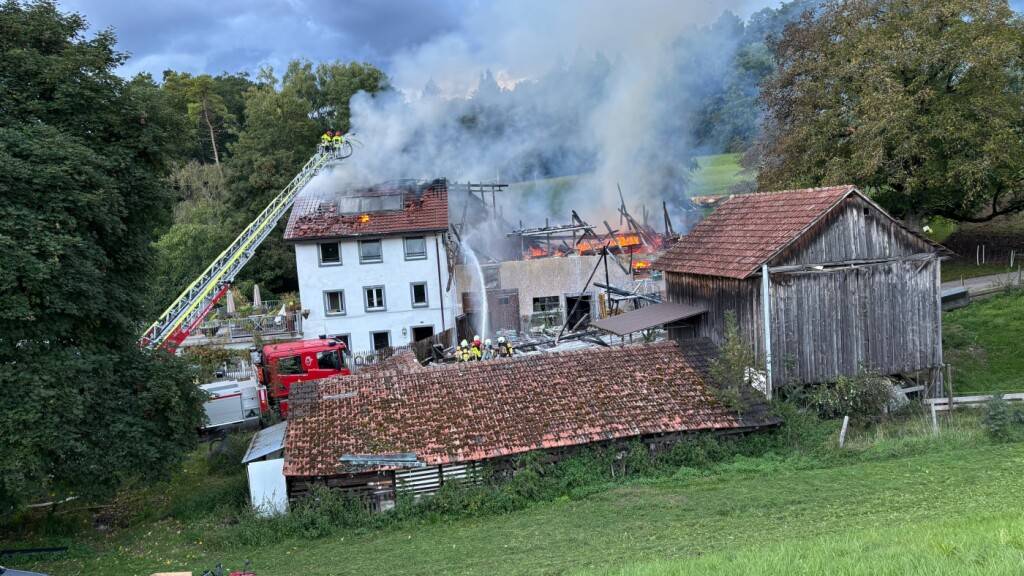 Beim Brand wurde niemand verletzt.