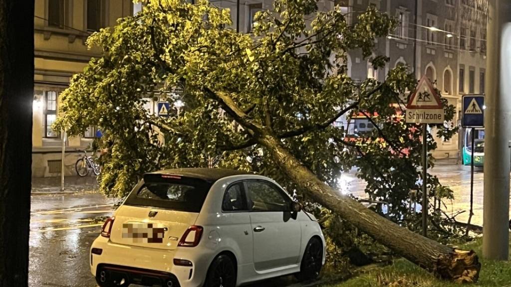 Der Sturm brachte in Basel mehrere Bäume zu Fall.