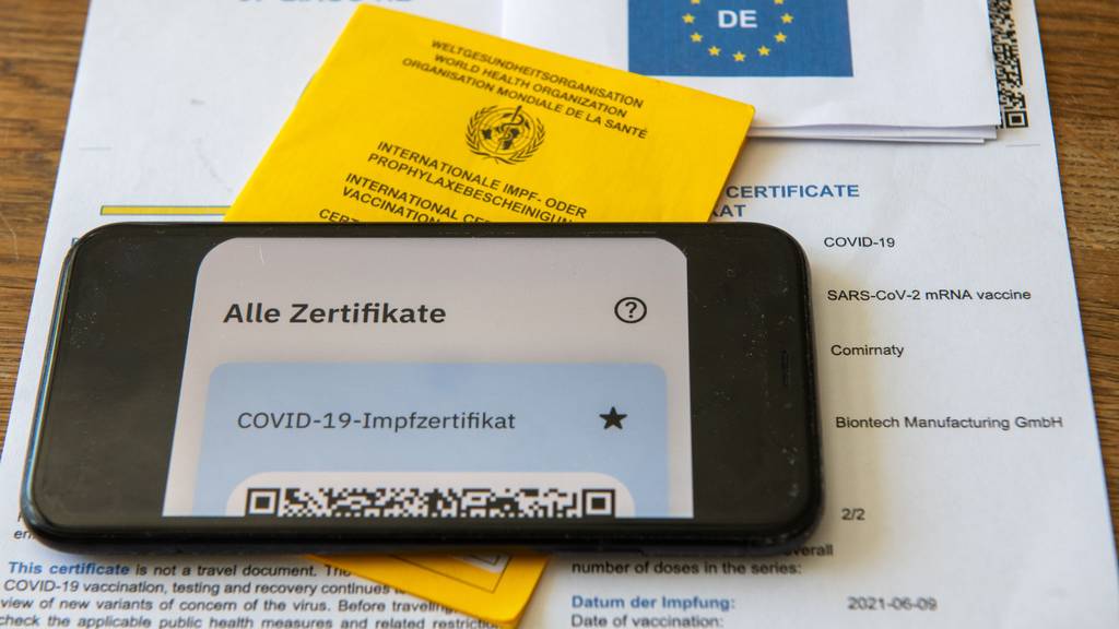 Schweizer mit Fake-Impfbüchlein in Konstanz erwischt