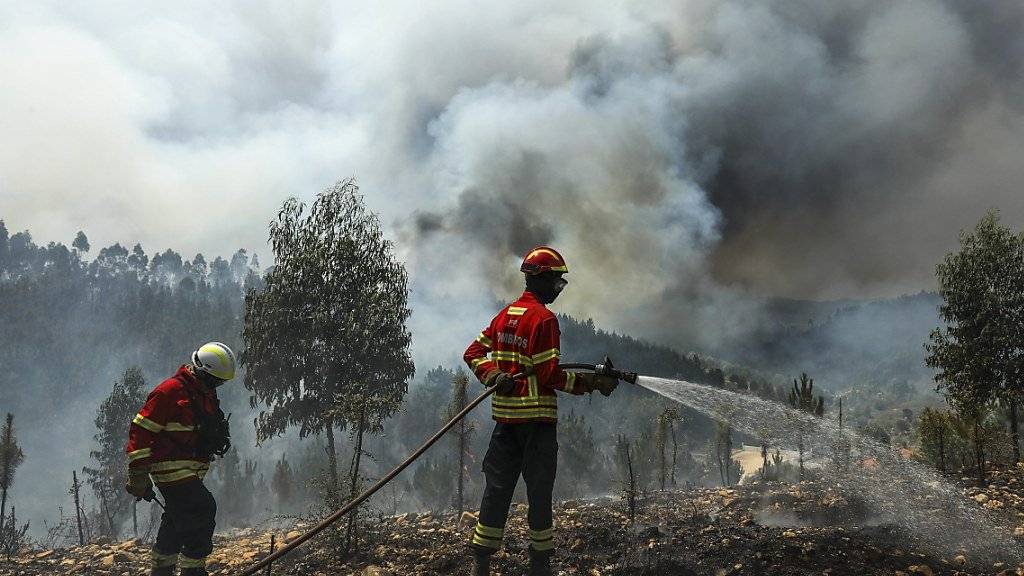 In Portugal wüten erneut schwere Waldbrände. Nach Angaben des Zivilschutzes bekämpften am Donnerstag fast 3000 Feuerwehrleute 80 Brände.
