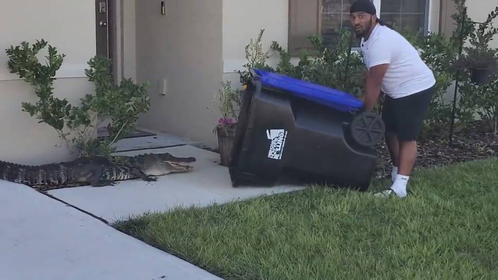 Mann in Florida fängt Alligator mit Mülltonne ein