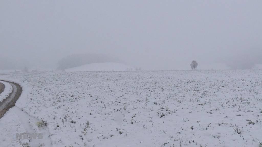 Winter-Comeback: Der Schnee ist zurück