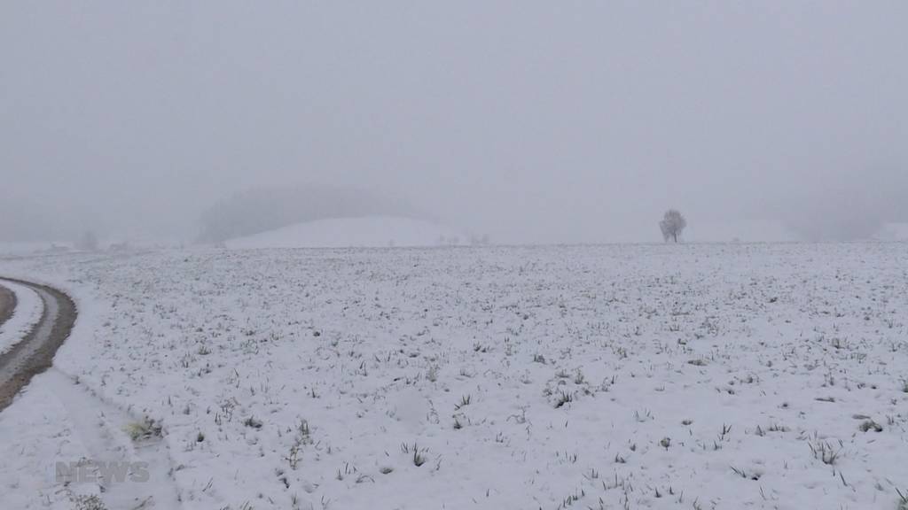 Winter-Comeback: Der Schnee ist zurück