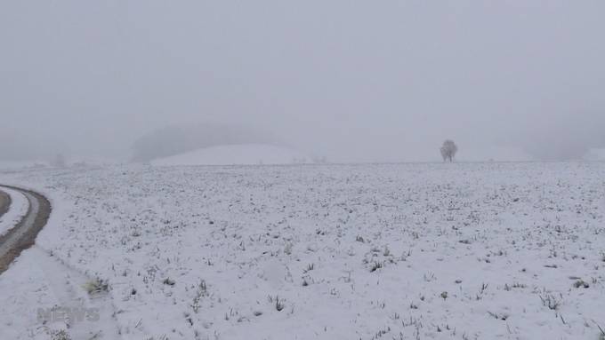 Winter-Comeback: Der Schnee ist zurück