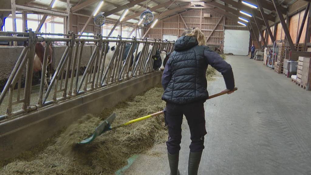 Mehr Milch als gefragt