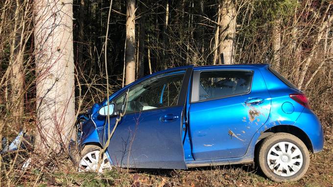 Chaosfahrt über Wiese endet in einem Baum