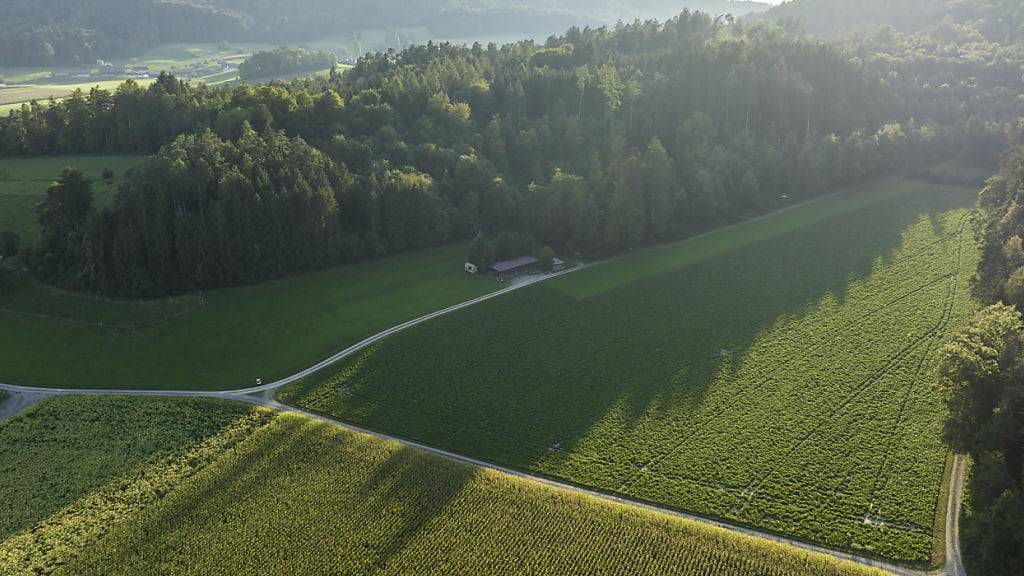 Im Haberstal bei Stadel soll das Endlager für atomare Abfälle gebaut werden. Stadel wird als hauptbetroffene Standortgemeinde Millionen als Abgeltung erhalten. Wie viel, wird ab Herbst verhandelt. (Archivbild)