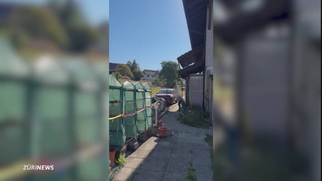 Nachbarschaftsstreit: Frau demoliert Haustüre und Auto des Nachbarn