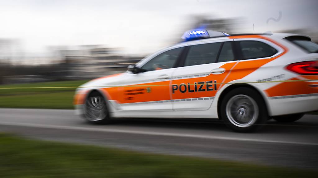 Die Kantonspolizei St.Gallen hat zwei mutmassliche Einbrecher festgenommen. (Archivbild)