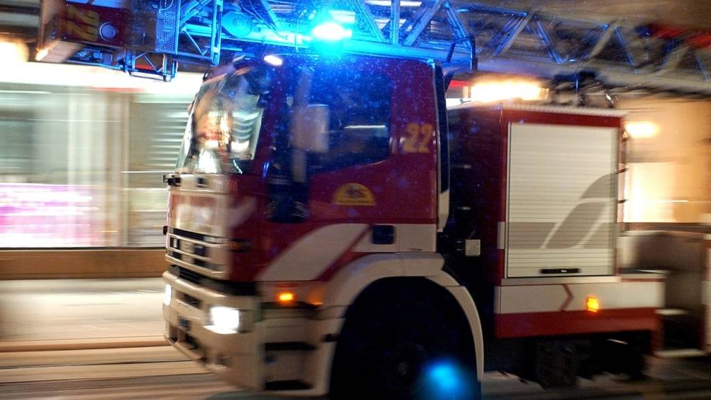 23 Schweine sterben bei Scheunenbrand in Ruswil LU