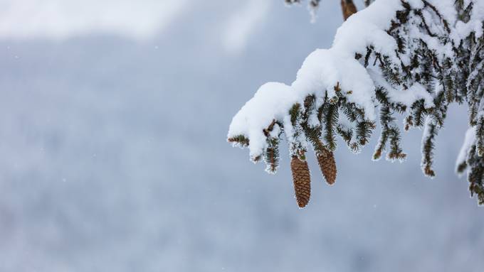 Aufgepasst im Morgenverkehr: Bis zu 20 Zentimeter Neuschnee