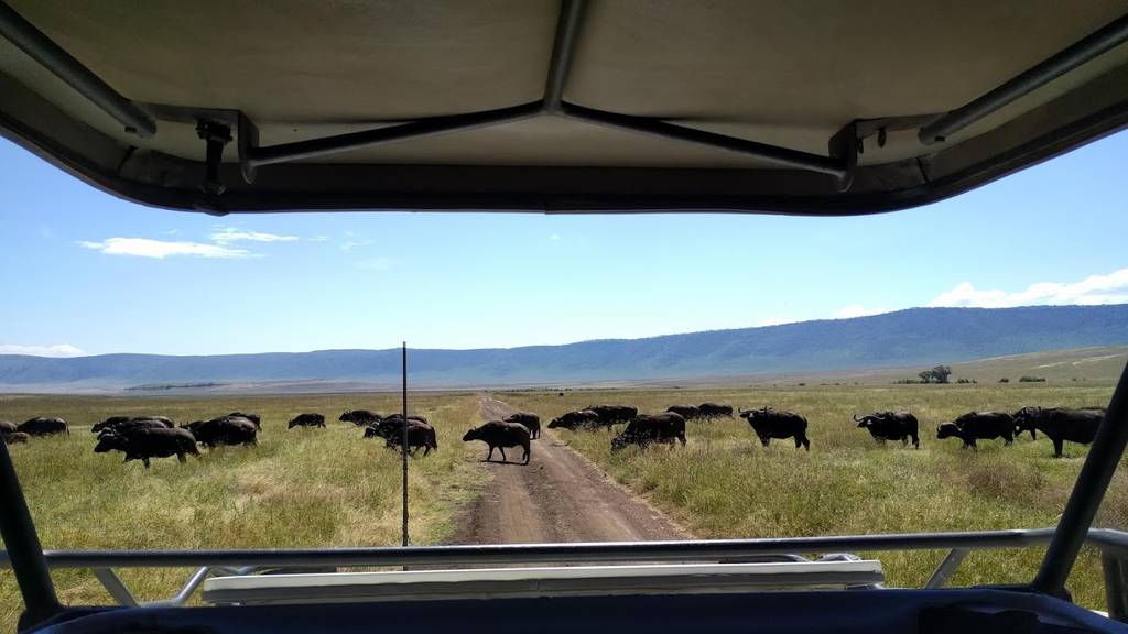 ngorongoro2