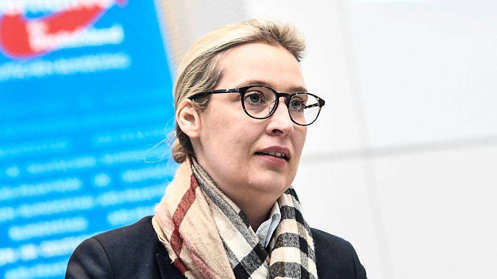 Die rund 130'000 Euro aus der Schweiz hatten AfD-Fraktionschefin Alice Weidel in Bedrängnis gebracht - inzwischen hat die Partei die Bundestagsverwaltung informiert, wo das Geld herkommt.