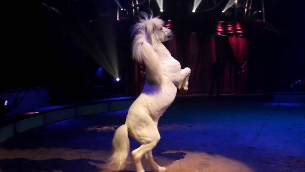 Lichterlöschen beim Circus Nock