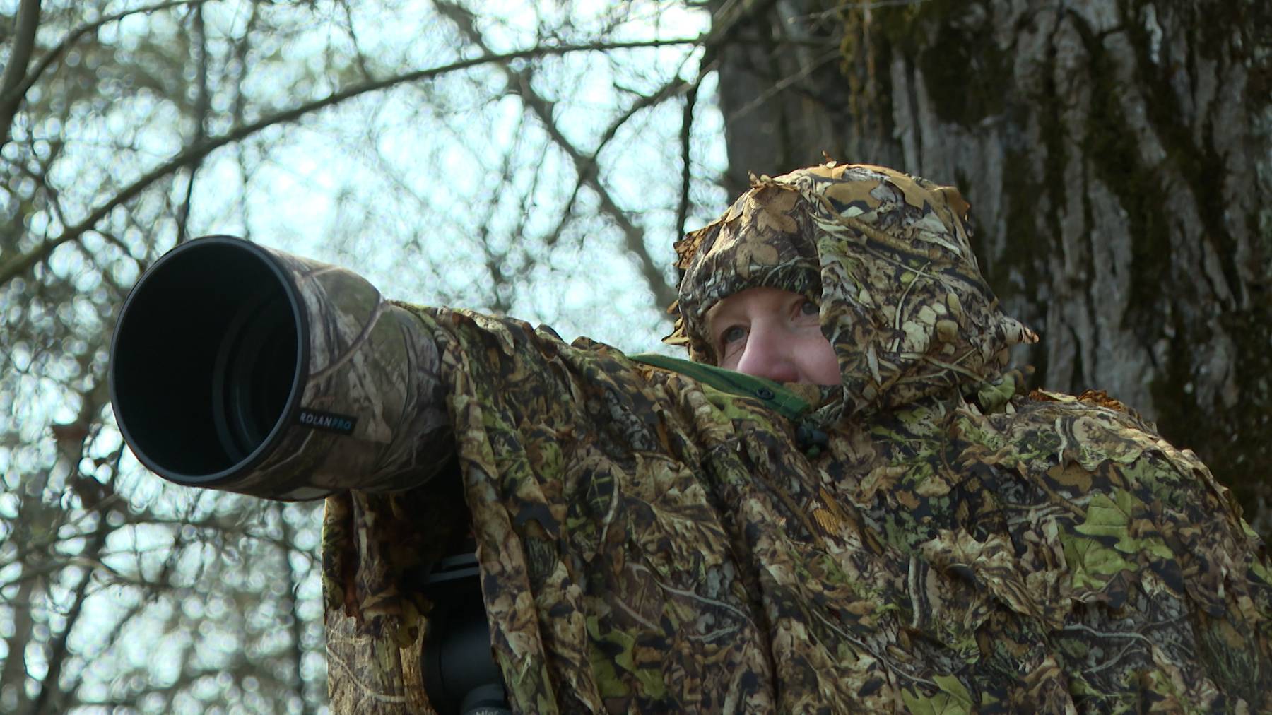 Dem Eisvogel auf der Spur 