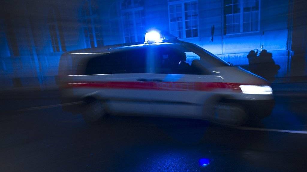 Nach der Kindes-Entführung bei Kaiserslautern (D) startete eine grosse Suchaktion mit zahlreichen Polizeibeamten, Suchhunden und einem Helikopter. (Symbolbild)