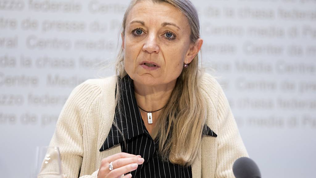 Neue Syna-Präsidentin: die frühere Aargauer SP-Nationalrätin Yvonne Feri. (Aufnahme von November 2010)