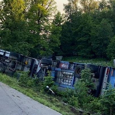 Sechs Schweine sterben bei Unfall von Tiertransporter