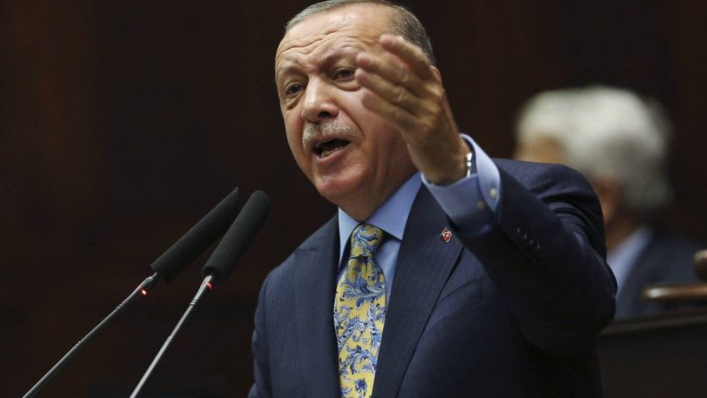 Der türkische Präsident Recep Tayyip Erdogan spricht am Dienstag vor dem Parlament in Ankara.