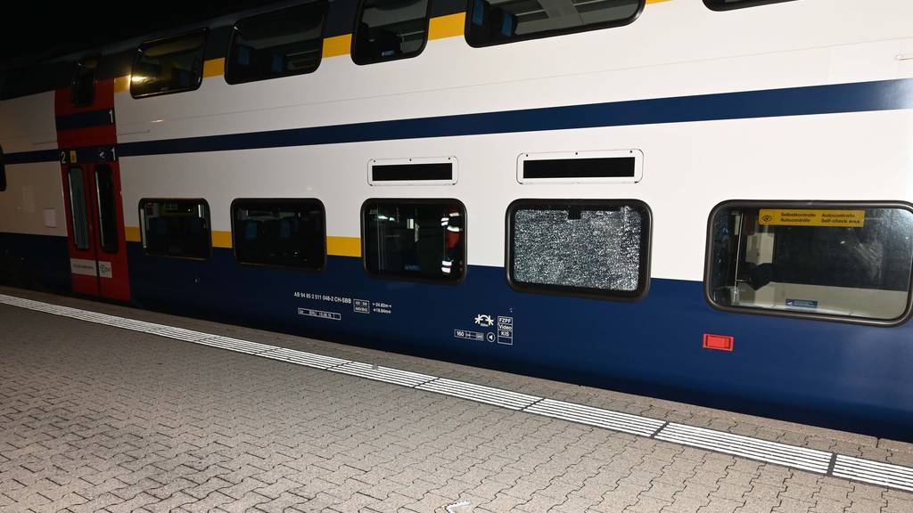 20'000 Franken Schaden: Betrunkener schlägt auf Bahnwaggons ein