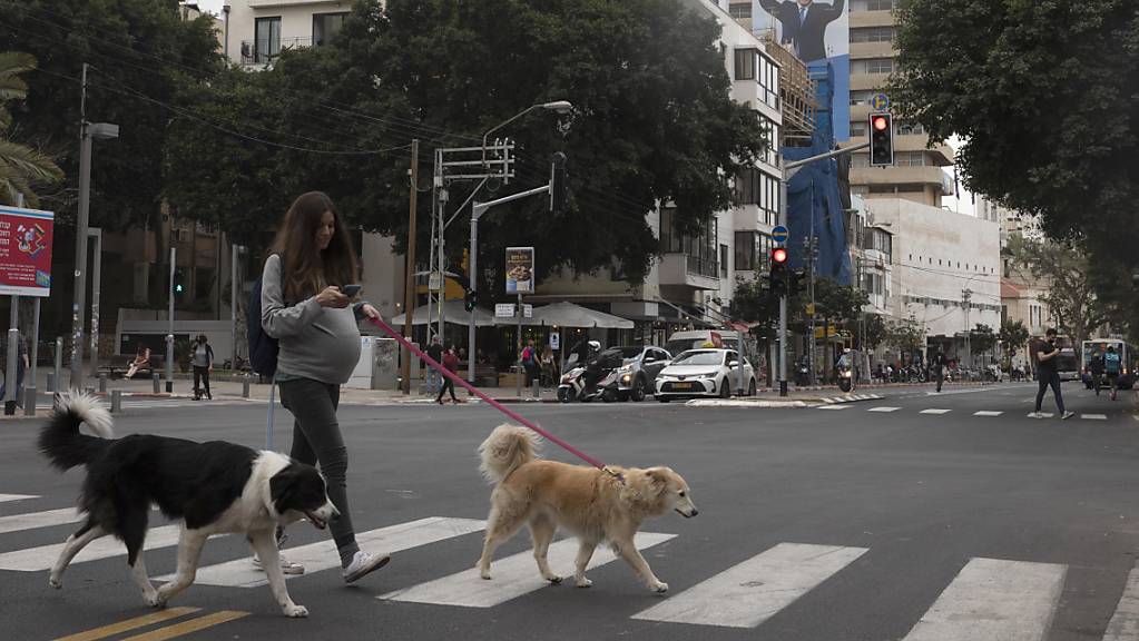 Eine Passantin geht mit Hunden an einer Gebäudewand in Tel Aviv vorbei.
