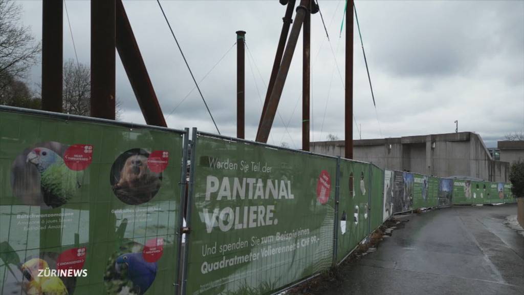 Streit um Pantanal-Voliere: Zoo Zürich reagiert auf Kritik