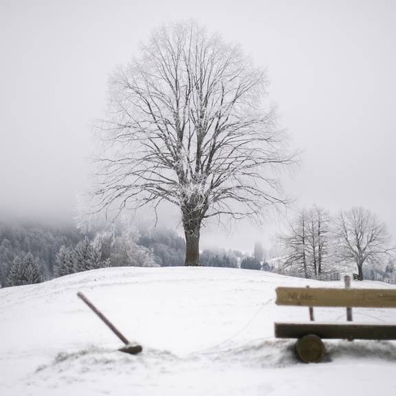 Der Winter kommt: So viel schneit es in deiner Region