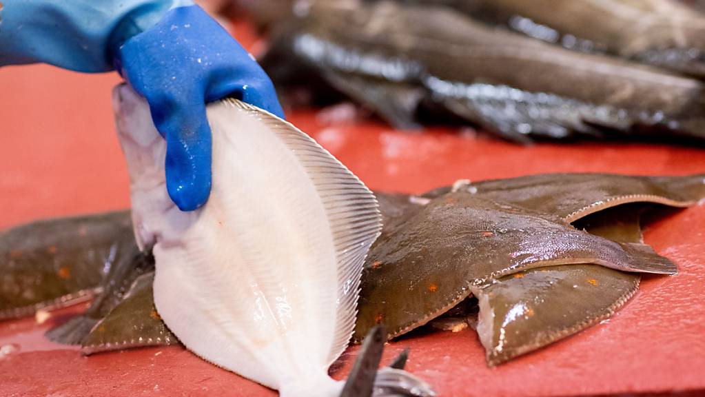 ARCHIV - Eine Mitarbeiterin zerlegt eine Scholle bei einem Großhändler im Fischmarkt in Hamburg Altona. (Zu dpa «UN-Bericht: Fischkonsum weltweit erreicht Rekordhöhe») Foto: Christian Charisius/dpa