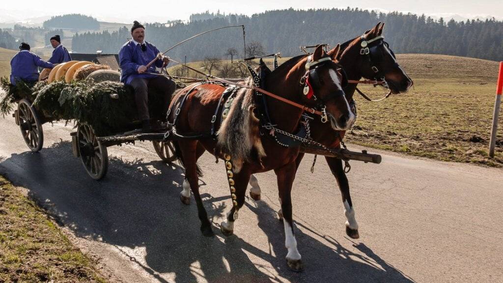 In Altwis brannten die Pferde eines Gespanns durch. (Symbolbild)