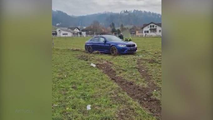 Glück im Unglück: Ein Ukrainer zerstört während einer Probefahrt mit einem BMW einen Zaun einer Weide