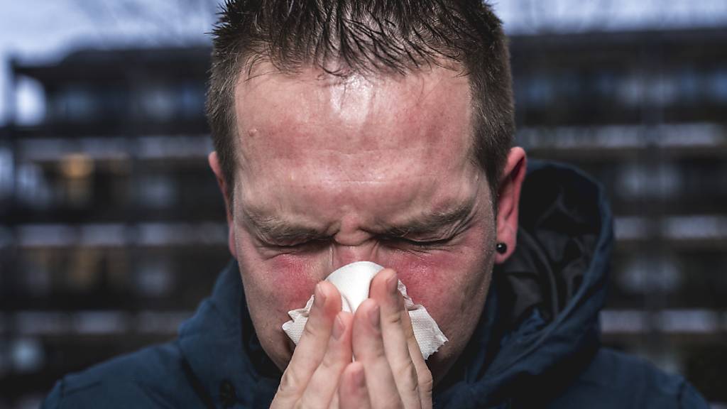Allergien bleiben oft ein Leben lang. Eine neue Studie zeigt nun, was der Grund dafür sein könnte. (Symbolbild)