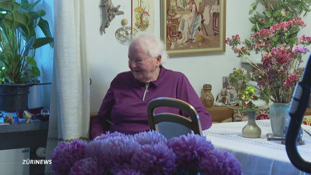 Heizungsproblem in Wädenswil