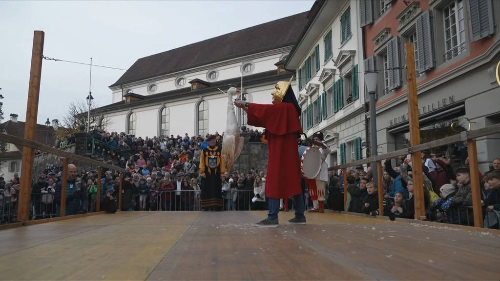 Im Video: So ging es der Gans in Sursee an den Kragen