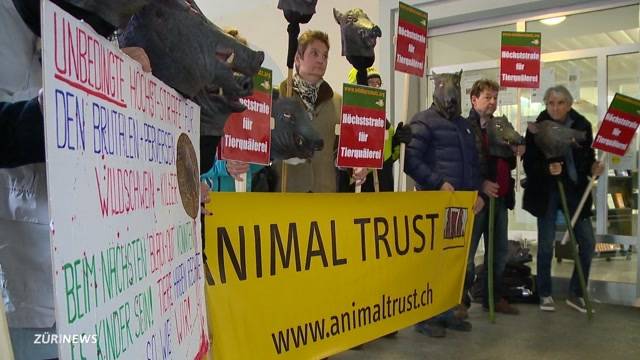 Prozess gegen Wildschwein-Killer