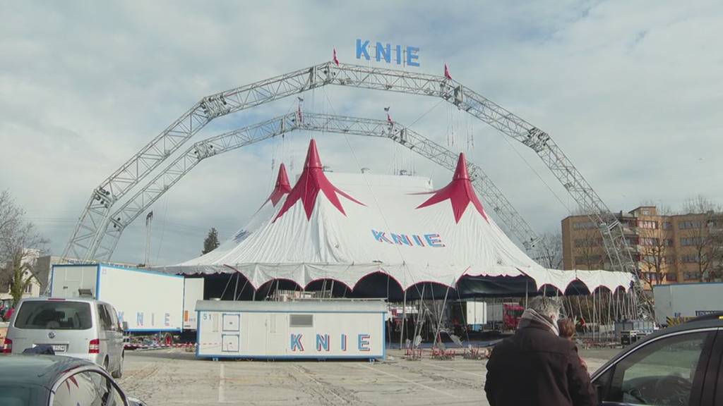 Manege frei für den Zirkus Knie