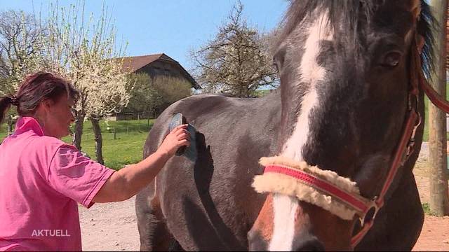 Gontenschwiler Reitschule droht das Aus